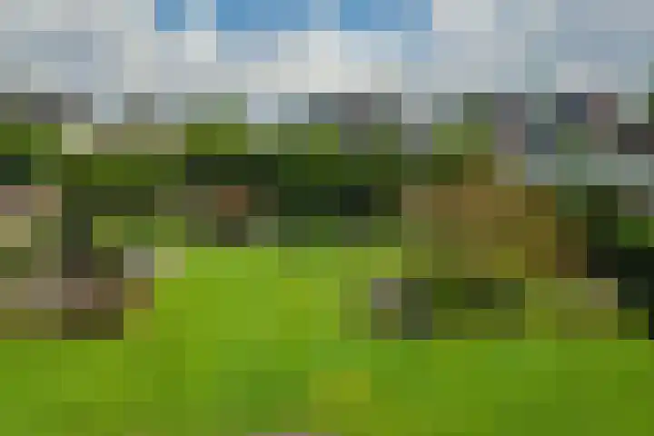 Ouverturelaan 14 Beek en Donk thumbnail 47