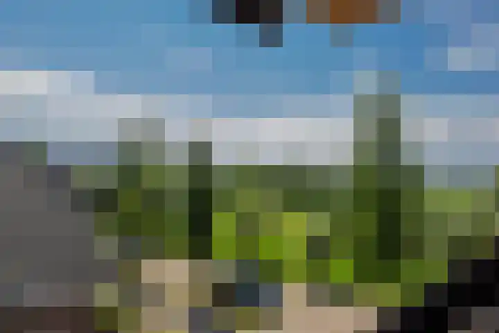 Ouverturelaan 14 Beek en Donk thumbnail 48
