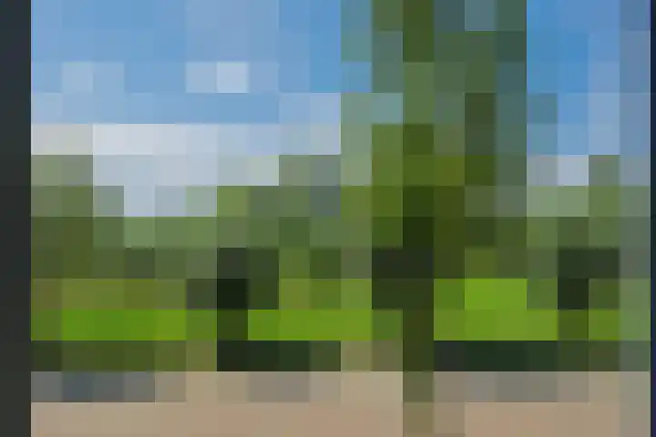 Ouverturelaan 14 Beek en Donk thumbnail 49