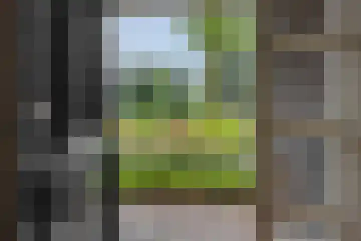 Ouverturelaan 14 Beek en Donk thumbnail 5
