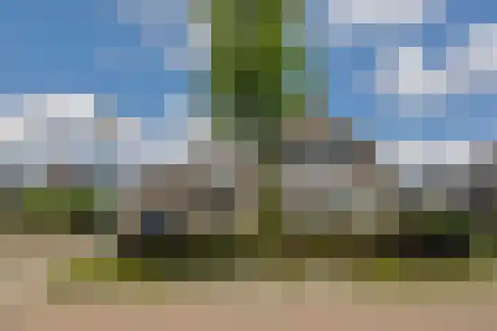 Ouverturelaan 14 Beek en Donk thumbnail 52