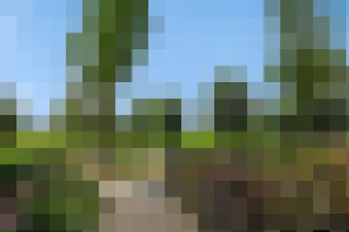 Ouverturelaan 14 Beek en Donk thumbnail 53