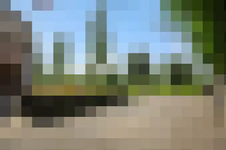 Ouverturelaan 14 Beek en Donk thumbnail 54