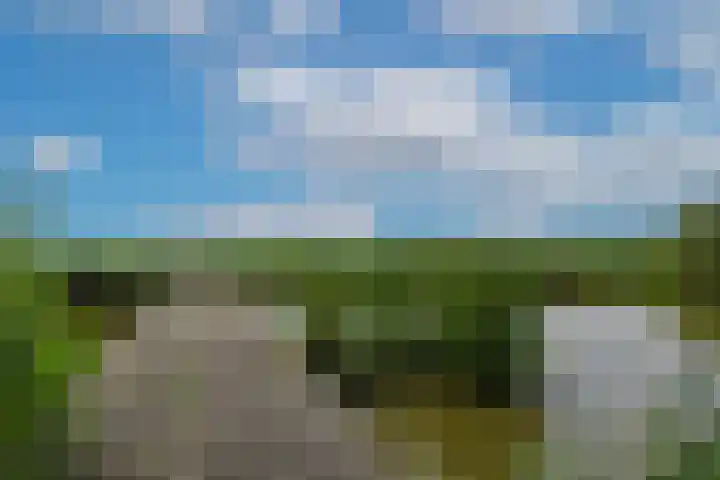 Ouverturelaan 14 Beek en Donk thumbnail 55