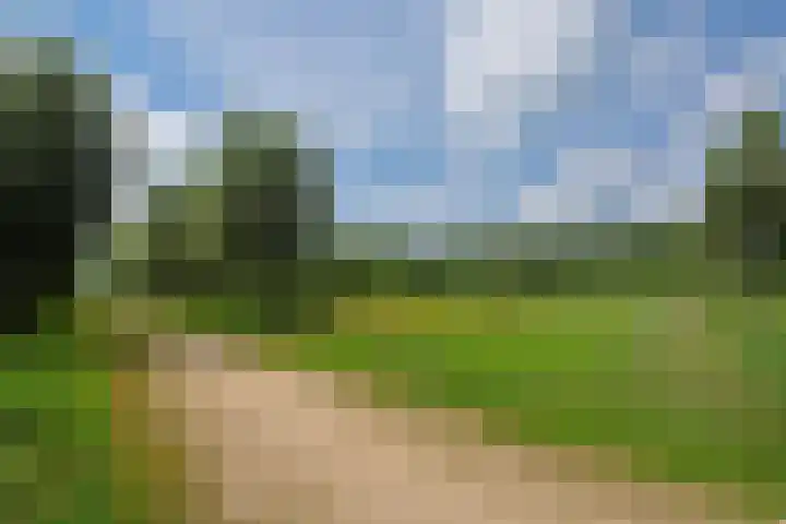 Ouverturelaan 14 Beek en Donk thumbnail 56