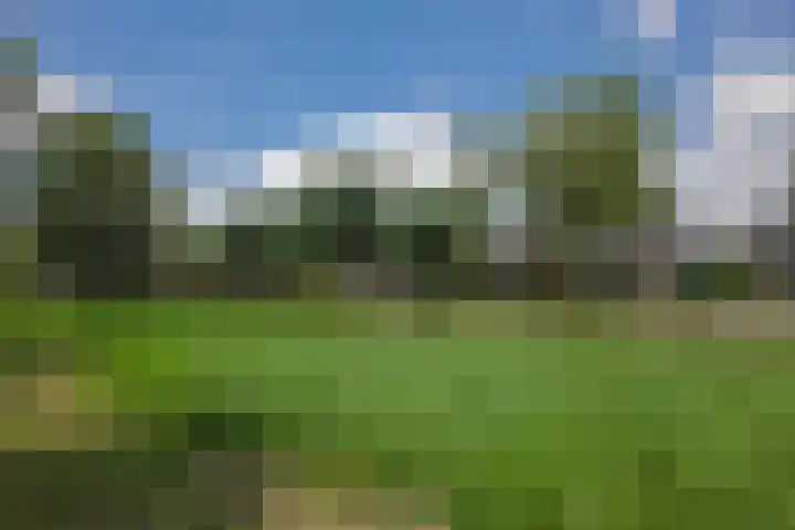 Ouverturelaan 14 Beek en Donk thumbnail 58