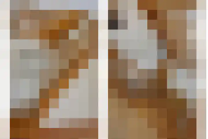Ouverturelaan 14 Beek en Donk thumbnail 8