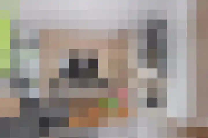 Ouverturelaan 18 Krimpen aan den IJssel thumbnail 15