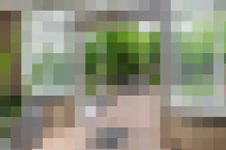 Ouverturelaan 18 Krimpen aan den IJssel thumbnail 23