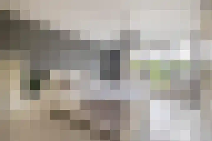 Ouverturelaan 18 Krimpen aan den IJssel thumbnail 27