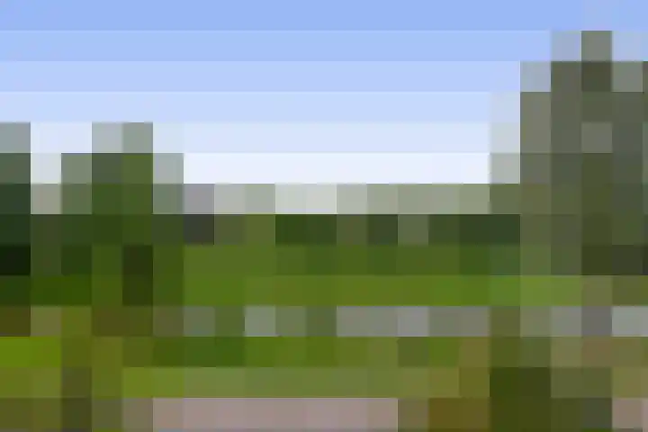 Ouverturelaan 18 Krimpen aan den IJssel thumbnail 29