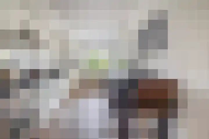 Ouverturelaan 18 Krimpen aan den IJssel foto 3