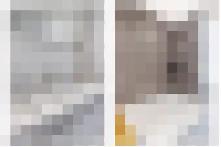 Ouverturelaan 18 Krimpen aan den IJssel thumbnail 31