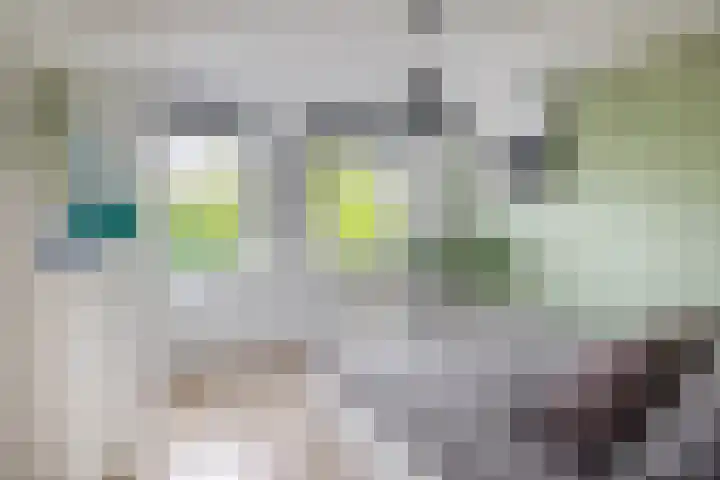 Ouverturelaan 18 Krimpen aan den IJssel thumbnail 32