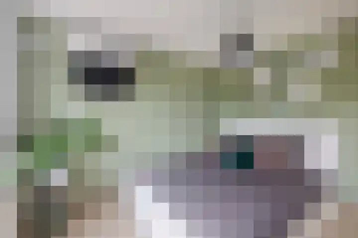 Ouverturelaan 18 Krimpen aan den IJssel thumbnail 33