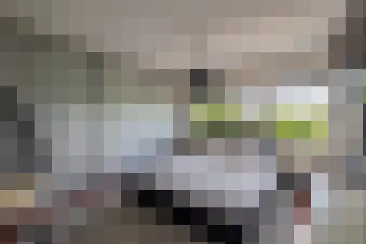 Ouverturelaan 18 Krimpen aan den IJssel thumbnail 39