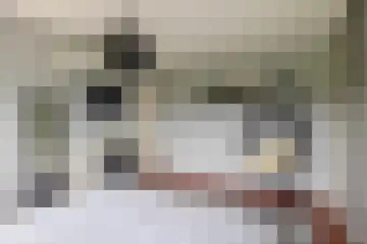 Ouverturelaan 18 Krimpen aan den IJssel thumbnail 40