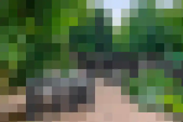 Ouverturelaan 18 Krimpen aan den IJssel thumbnail 42
