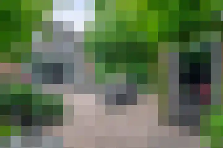 Ouverturelaan 18 Krimpen aan den IJssel thumbnail 46