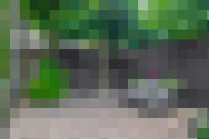 Ouverturelaan 18 Krimpen aan den IJssel thumbnail 47