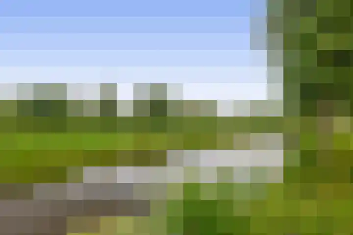 Ouverturelaan 18 Krimpen aan den IJssel thumbnail 50