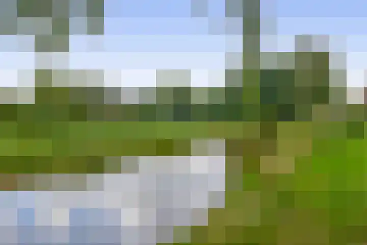 Ouverturelaan 18 Krimpen aan den IJssel thumbnail 51