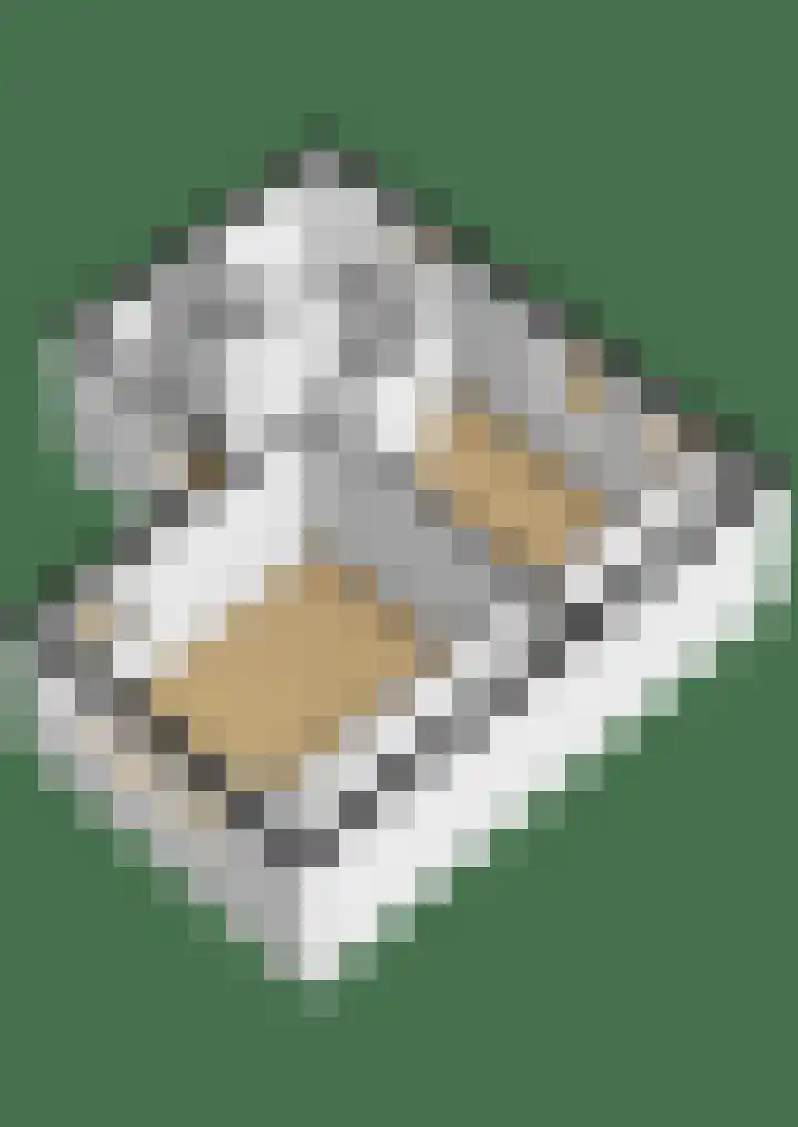 Ouverturelaan 18 Krimpen aan den IJssel thumbnail 60