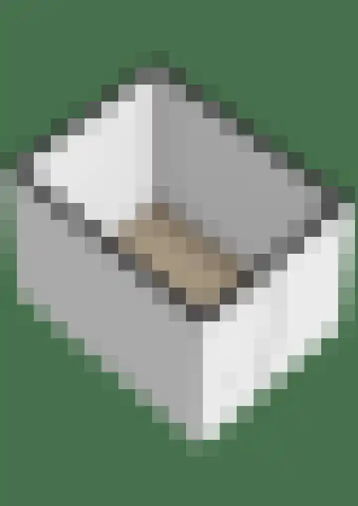 Ouverturelaan 18 Krimpen aan den IJssel thumbnail 62