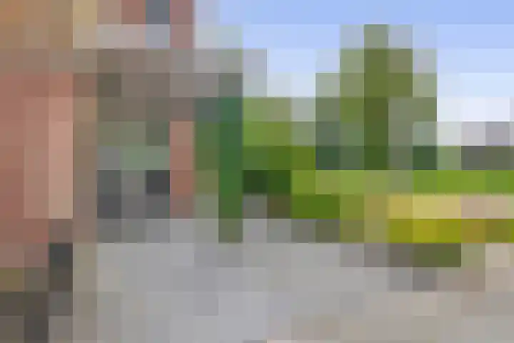 Ouverturelaan 18 Krimpen aan den IJssel thumbnail 7