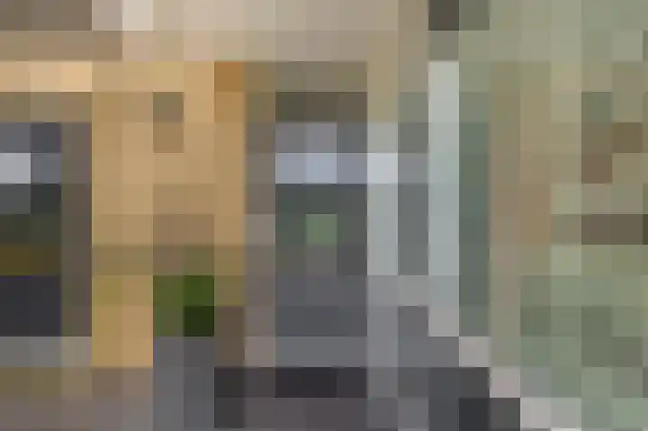 Ouverturelaan 18 Krimpen aan den IJssel thumbnail 9