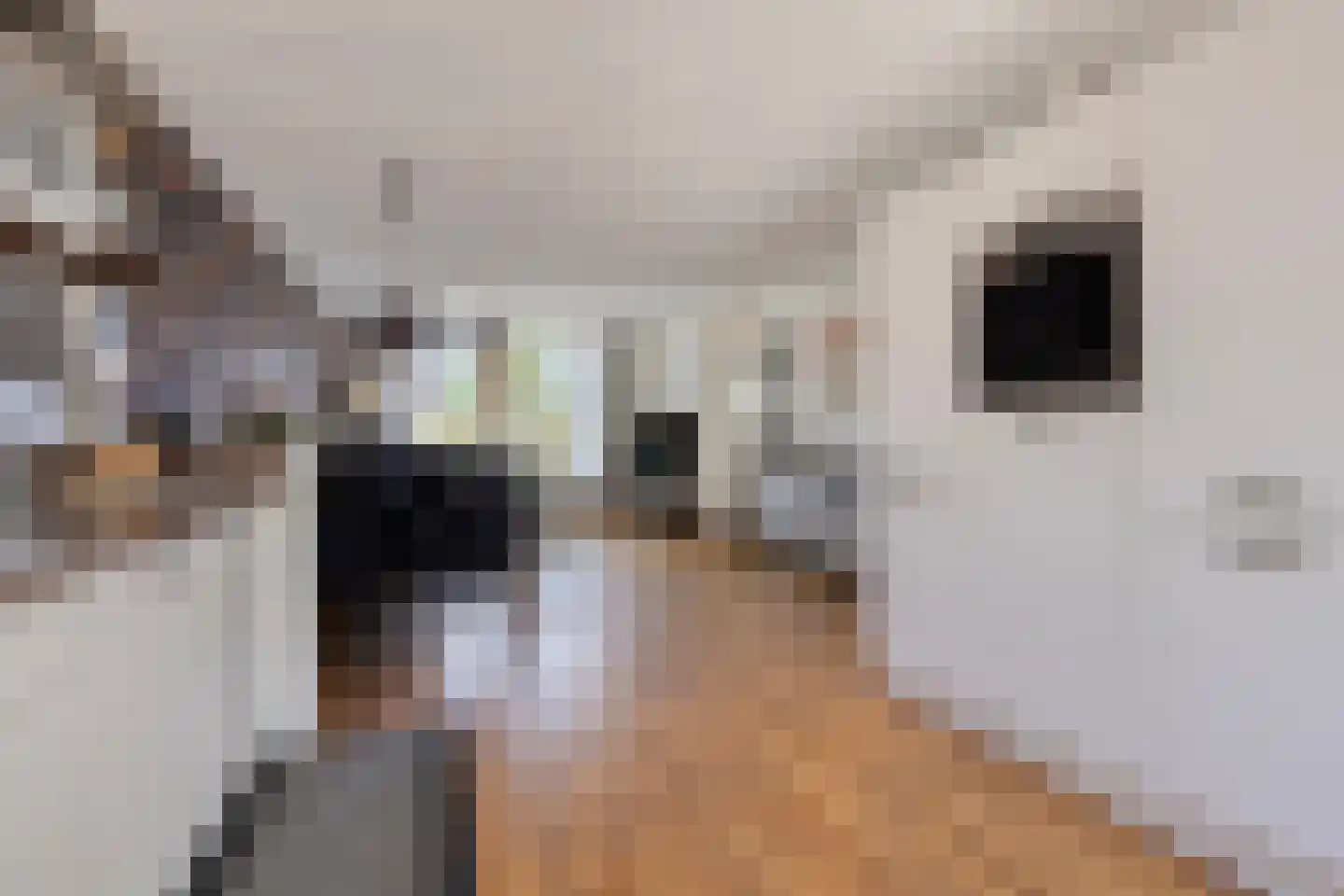 Ouverturelaan 32 Spijkenisse thumbnail 11