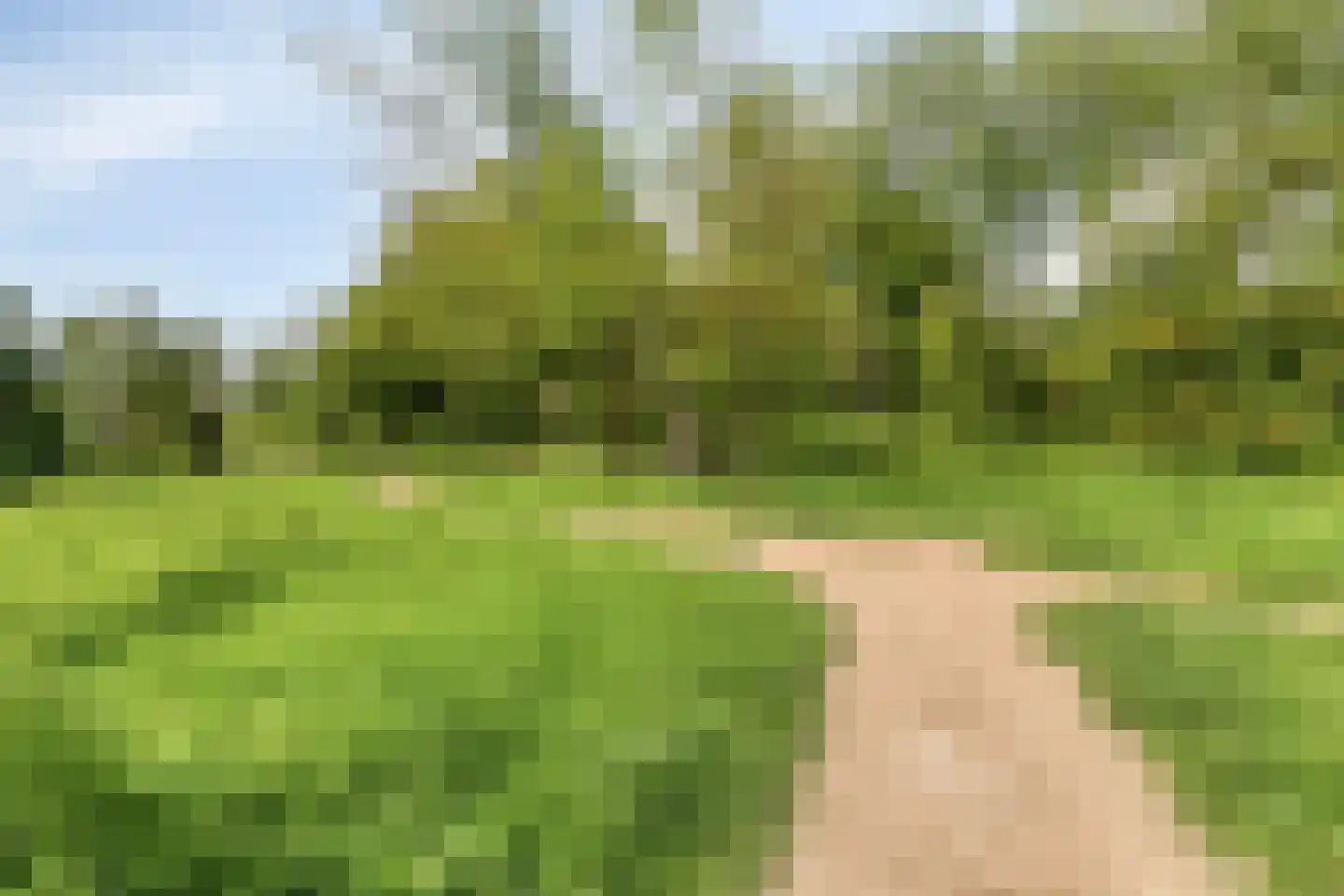 Ouverturelaan 32 Spijkenisse thumbnail 29