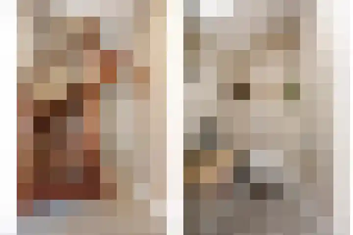 Ouverturelaan 4 Beek en Donk thumbnail 11