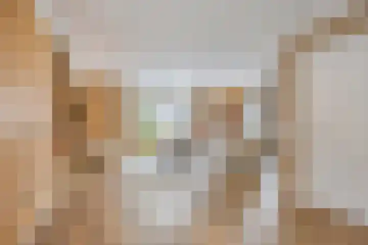Ouverturelaan 4 Beek en Donk thumbnail 12