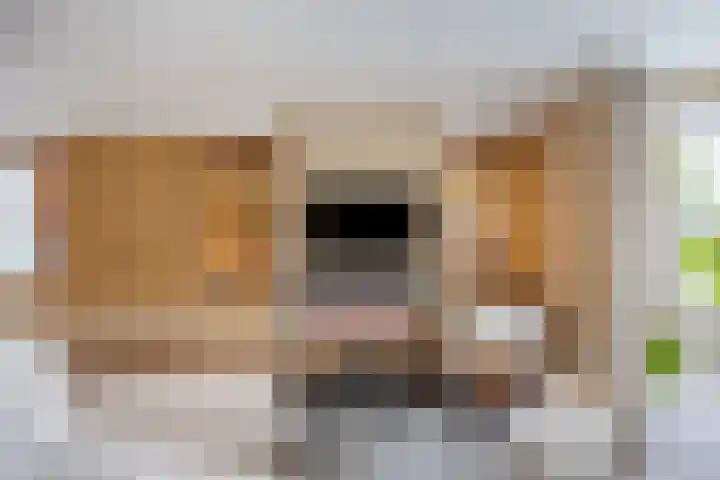 Ouverturelaan 4 Beek en Donk thumbnail 15