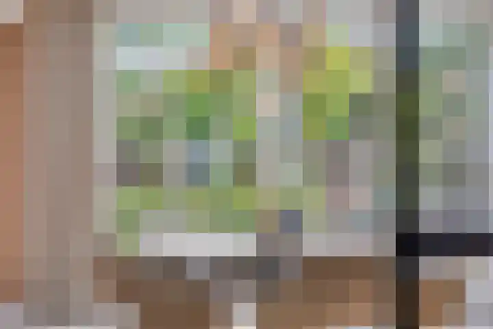 Ouverturelaan 4 Beek en Donk thumbnail 24