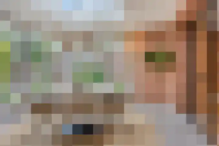 Ouverturelaan 4 Beek en Donk thumbnail 25