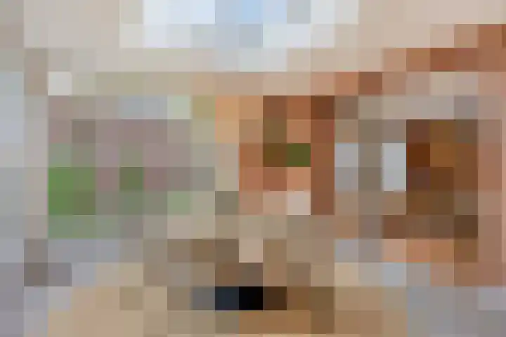 Ouverturelaan 4 Beek en Donk thumbnail 27