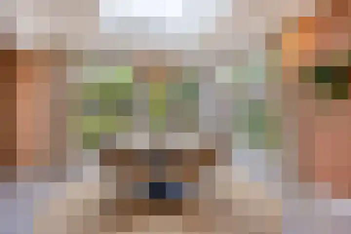 Ouverturelaan 4 Beek en Donk foto 3