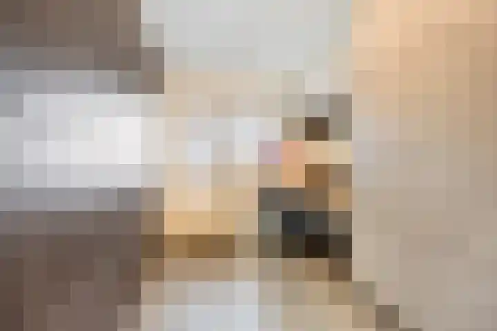 Ouverturelaan 4 Beek en Donk thumbnail 37