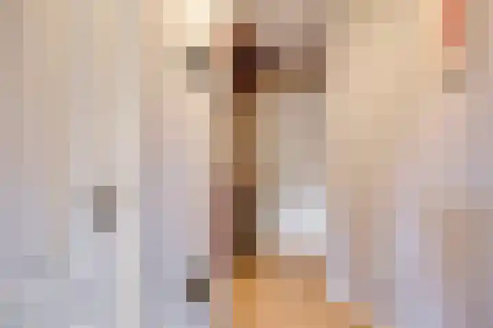 Ouverturelaan 4 Beek en Donk thumbnail 42