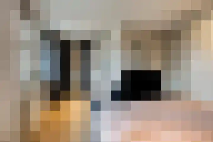 Ouverturelaan 4 Beek en Donk thumbnail 45