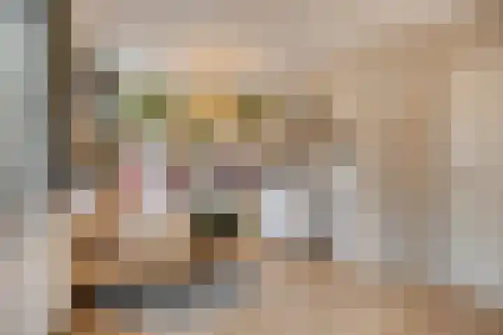 Ouverturelaan 4 Beek en Donk thumbnail 48