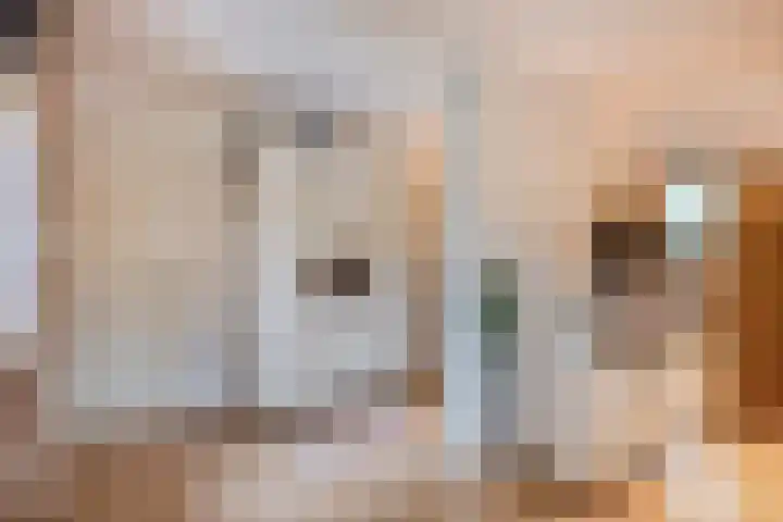 Ouverturelaan 4 Beek en Donk thumbnail 52