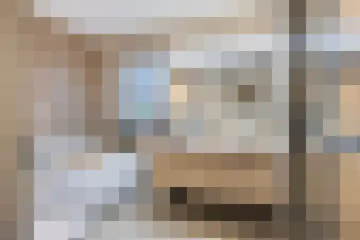 Ouverturelaan 4 Beek en Donk thumbnail 54