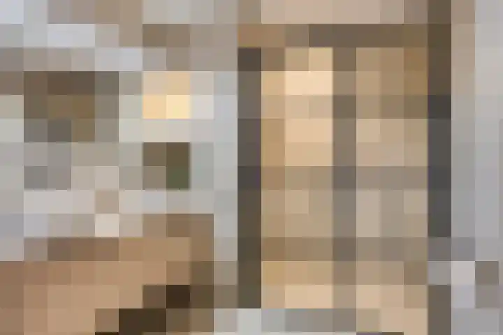 Ouverturelaan 4 Beek en Donk thumbnail 56