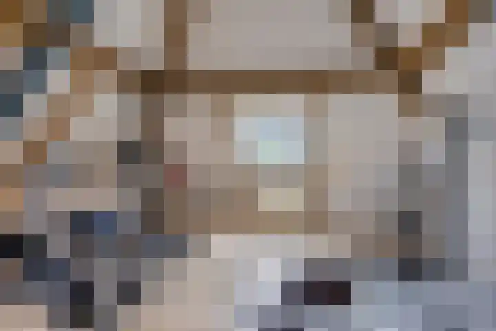 Ouverturelaan 4 Beek en Donk thumbnail 62