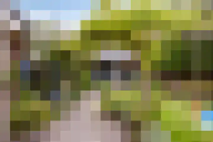 Ouverturelaan 4 Beek en Donk thumbnail 63