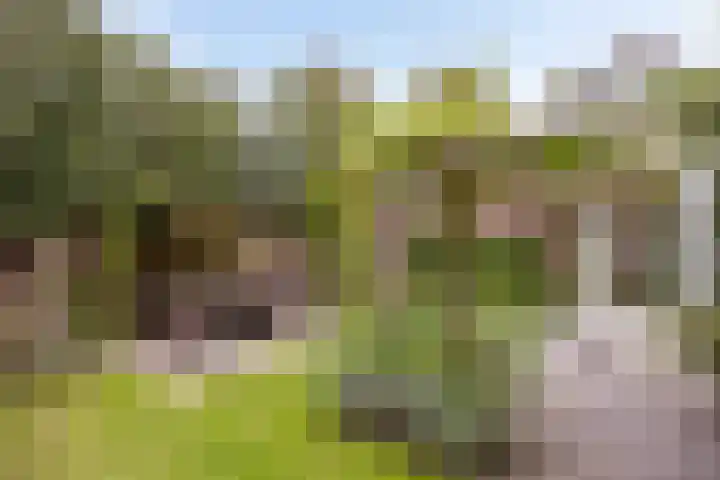Ouverturelaan 4 Beek en Donk thumbnail 64
