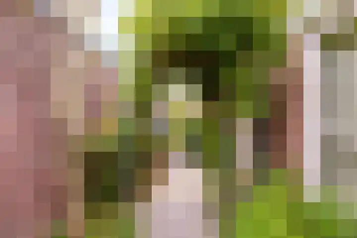 Ouverturelaan 4 Beek en Donk thumbnail 66